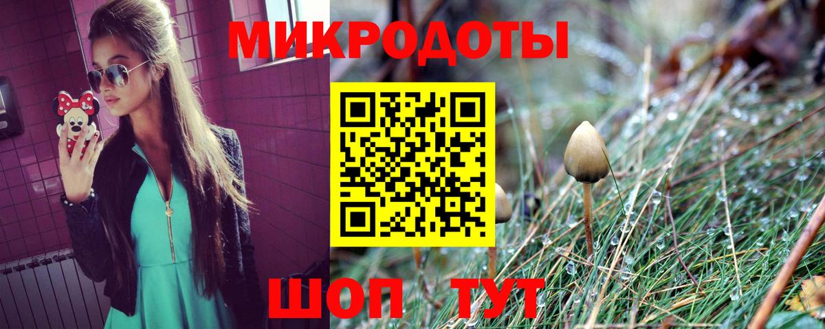 Псилоцибиновые грибы прущие грибы Александров