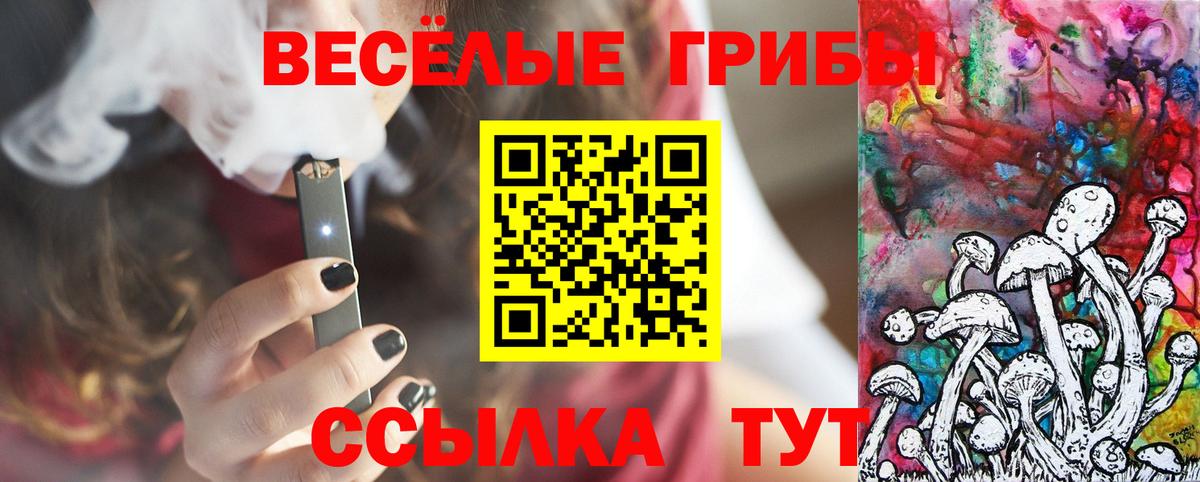 Александров  Псилоцибиновые грибы GOLDEN TEACHER  Вход с VPN 